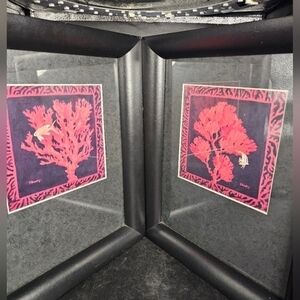 Pair of Original watercolors of red coral framed and signed by artist Peter Bren
